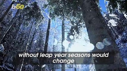 Why Leap Year Matters: The Key to Keeping Our Calendar Accurate 📅