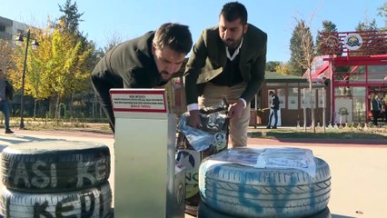 Cizreli servis şoförü maaşının bir bölümünü sokak hayvanlarına harcıyor - ŞIRNAK