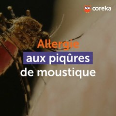 Allergie aux piqûres de moustique