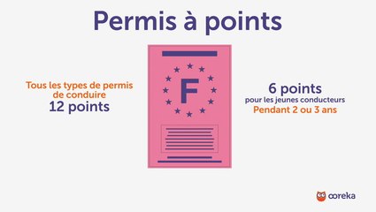 Le permis à points
