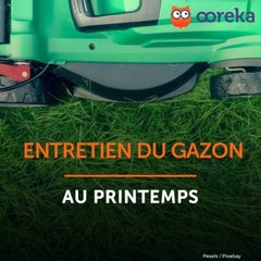 Entretien du gazon au printemps