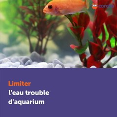 Limiter l'eau trouble d'aquarium