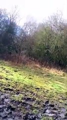 Slippery Mud Leads to Unexpected Splash