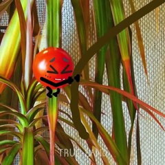 Les conseils géniaux de nos fruits préférés - Truc-land