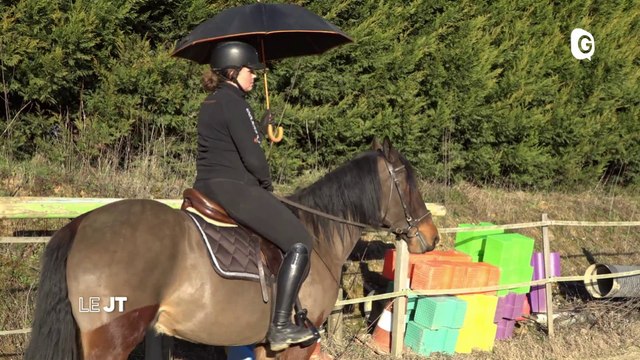 Cheval du Vercors, Terrain de futsal, et Art du Sport - 26 FEVRIER 2020
