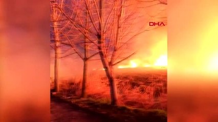 Bursa'da, sazlık alanda yangın