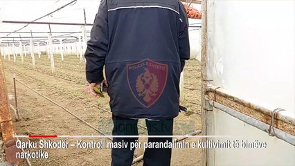 Në sera, tunele e vila/ Policia operacion masiv kundër drogës - News, Lajme - Vizion Plus