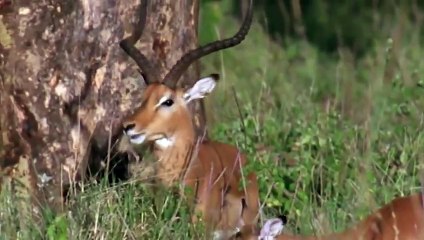 제천출장서비스 제천출장서비스O1OE6579E3382｛카톡COM23｝ 제천출장마사지샵 제천출장안마on제천출장안마cos여3♪⇔∃마사지황형♥⊏≪