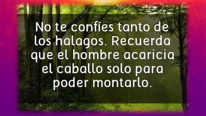 Frases Impactantes que te Sorprenderán y Harán Pensar