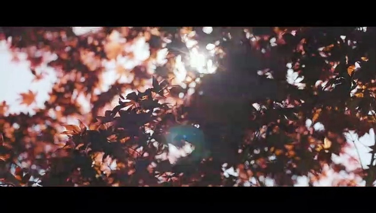 تلاوة نادرة للشيخ عبد الباسط ما تيسر من سورة هود