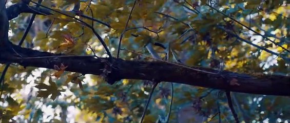 3تلاوة نادرة للشيخ عبدالباسط ما تيسر من سورة لقمان