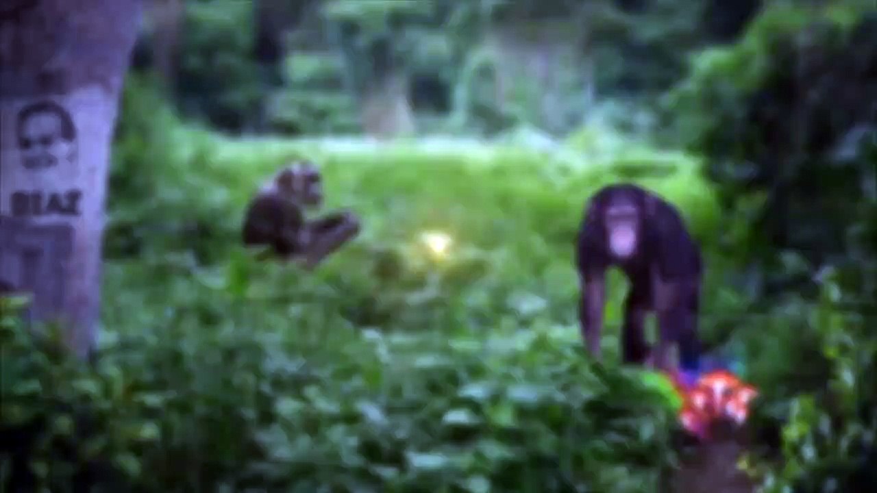 Joe Rogan on Tyson Fury vs. Deontay Wilder Rematch