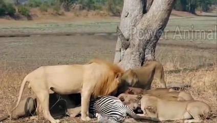 의정부출장서비스 의정부출장서비스O1OE2541E2560｛카톡KGB8｝ 의정부출장마사지샵 의정부출장안마on의정부출장안마cos여3♪⇔∃마사지황형♥∰≪