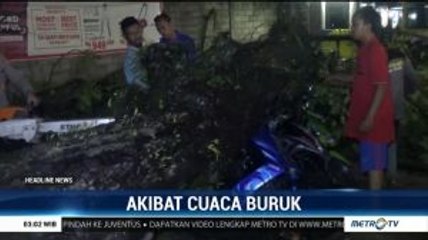 Pohon Tumbang Timpa 9 Motor di Bengkulu