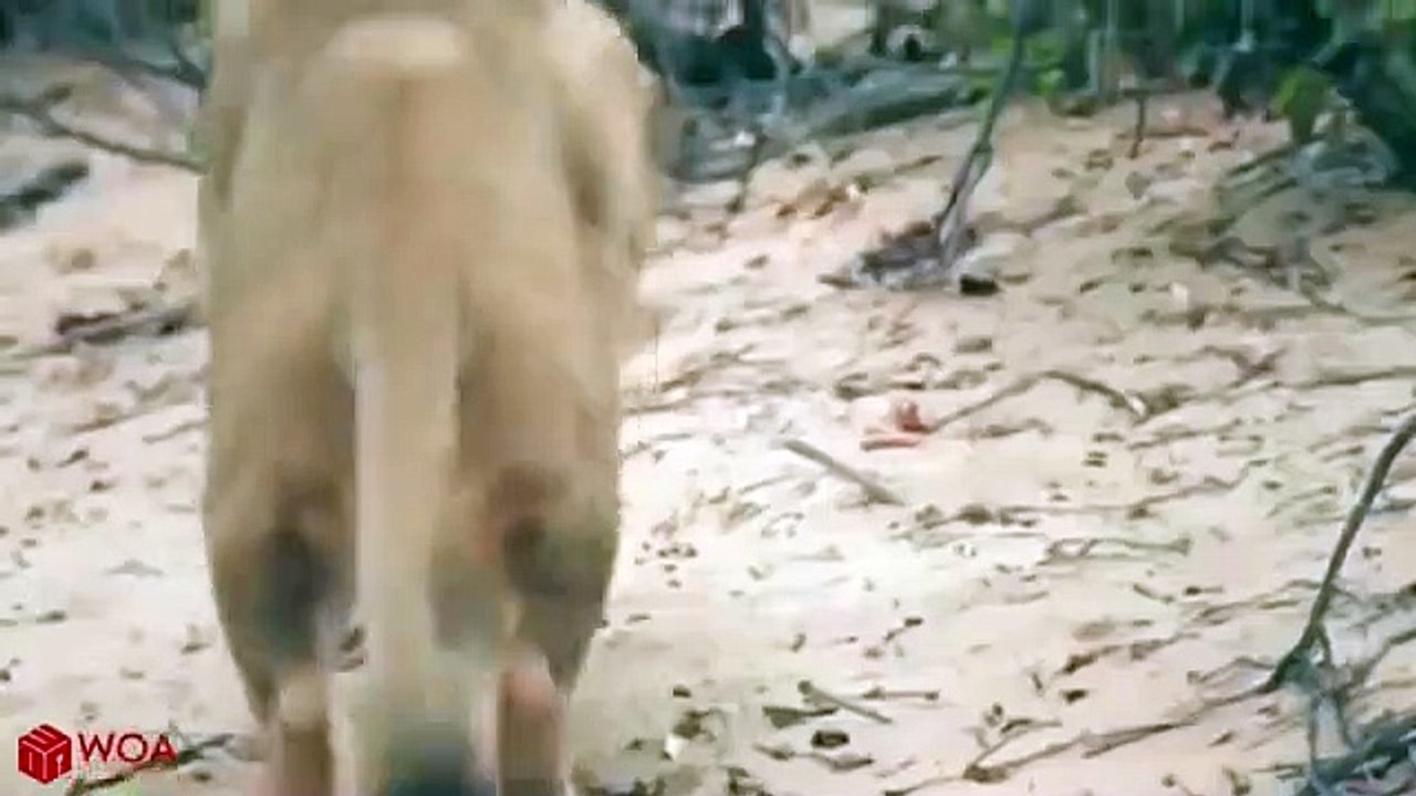 괴산출장서비스 괴산출장서비스O1OE6683E6402｛카톡GMC3 라인gmc3｝ 괴산출장마사지샵 괴산출장안마on괴산출장안마cos여3♪⇔∃마사지황형♥≫≪