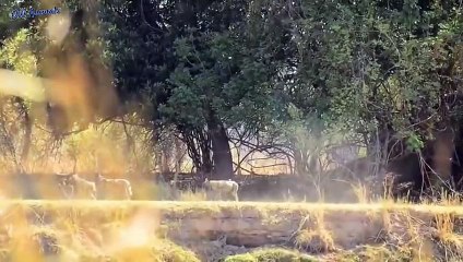 나주출장서비스 나주출장서비스O1Og2143g9131｛카톡UOM7｝ 나주출장마사지샵 나주출장안마on나주출장안마cos여3♪⇔∃마사지황형♥≷≪