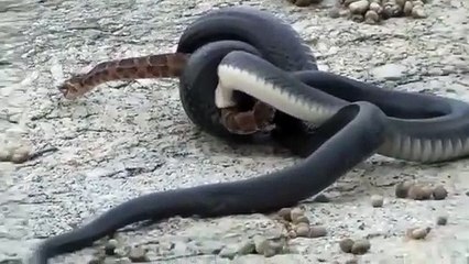 정선출장서비스 정선출장서비스O1OE9914E7203｛카톡DDD22｝ 정선출장마사지샵 정선출장안마on정선출장안마cos여3♪⇔∃마사지황형♥≙≪