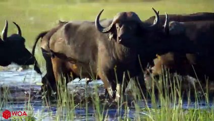 임실출장서비스 임실출장서비스O1Og2154g6609｛카톡LOT45｝ 임실출장마사지샵 임실출장안마on임실출장안마cos여3♪⇔∃마사지황형♥∼≪