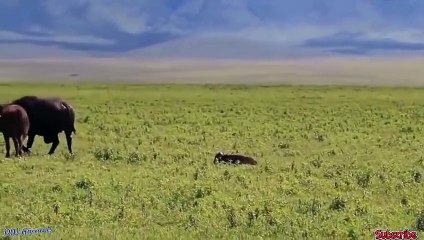 거창출장서비스 거창출장서비스O1Og4832g2166｛카톡QQ565｝ 거창출장마사지샵 거창출장안마on거창출장안마cos여3♪⇔∃마사지황형♥≕≪