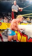 Scott Hall Jeff Jarrett