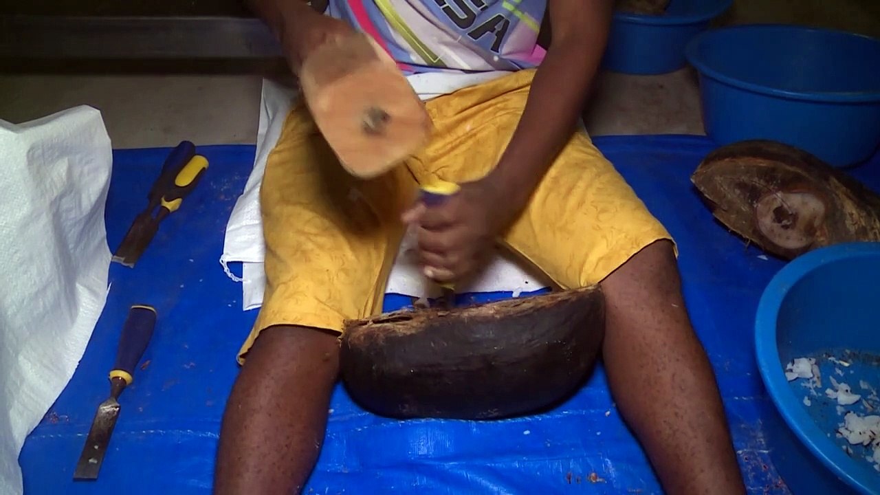 Aux Seychelles, la découpe du "coco fesse"