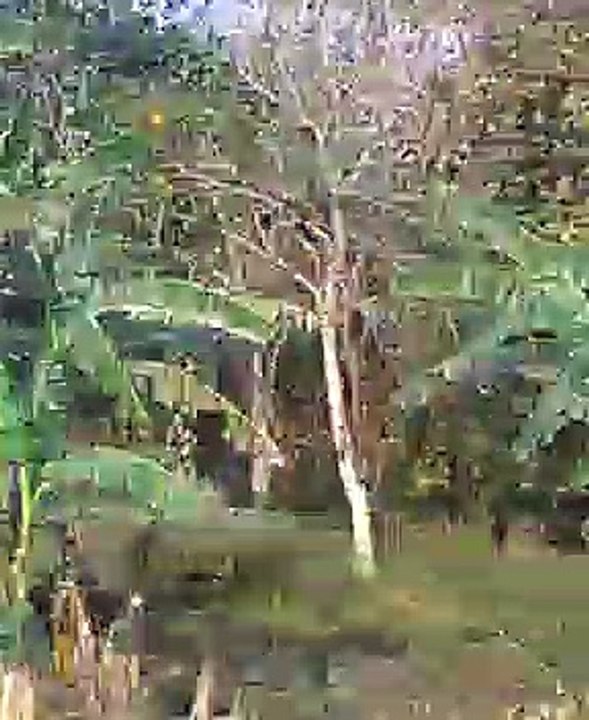 travelling a best moment captured