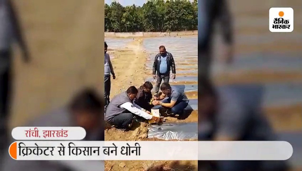 धोनी बने किसान; रांची में ले रहे जैविक खेती की ट्रेनिंग, रातू के सैंबो में उगा रहे पपीते और तरबूज