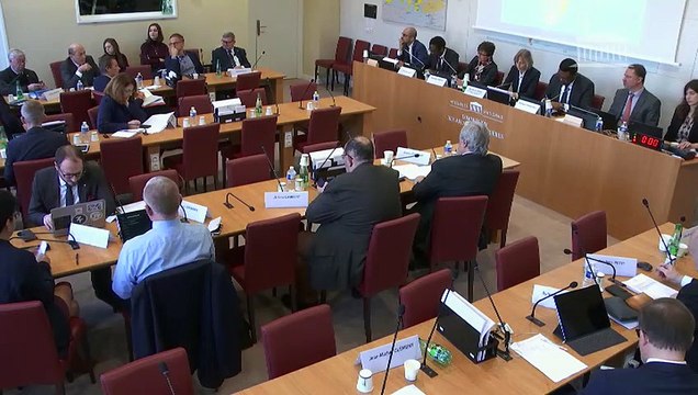 Commission des affaires étrangères : Compte-rendu de mission à Madagascar - Mercredi 26 février 2020