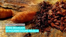 Cuisine étonnante : mangez des vers et des fourmis d'Amazonie