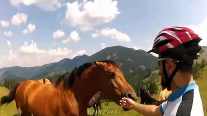 En ese momento Cell sintió el verdadero TERROR - Video Humor #1