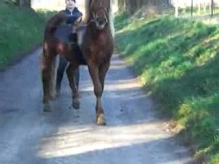 Mon bébé (Benjy) 2eme fois de sa vie longues renes