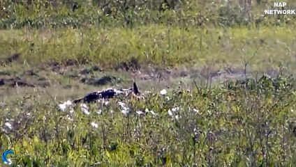 군포출장서비스 군포출장서비스O1OE2104E4640｛카톡YOK88｝ 군포출장마사지샵 군포출장안마on군포출장안마cos여3♪⇔∃마사지황형♥≌≪