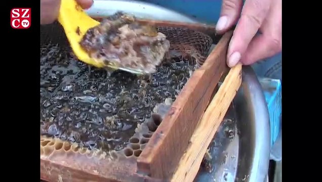 Corona virüsü bal üretiminde Çin’in tahtını sallıyor