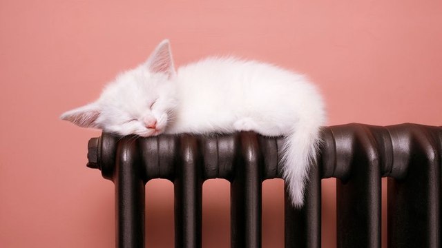 Quelle est la température idéale d'une chambre pour vraiment bien dormir