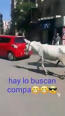 Buenas_noches_%F0%9F%92%A4_sonr%C3%ADe_%F0%9F%98%83_