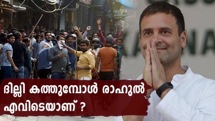 Where is Rahul Gandhi? Congress has the answer to this perennial question |