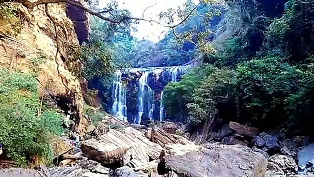 Havyaka Mart Cafe - Veg Foods Avilable Near Sathodi Falls