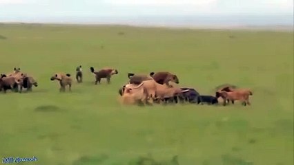 합천추천업소【OI0↔29O8↔68O③】합천추천업소예약♥◙≪