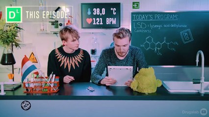 Bastiaan se mete LSD, esto es lo que sucede