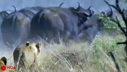 남원출장서비스 남원출장서비스O1OE6683E6402｛카톡GMC3 라인gmc3｝ 남원출장마사지샵 남원출장안마on남원출장안마cos여3♪⇔∃마사지황형♥≼≪