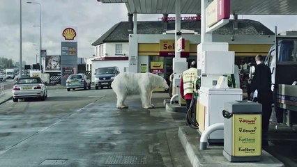 Campaña Greenpeace Oso polar sin hogar en Londres
