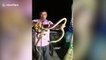 ELEVEN snakes rescued from construction site in northern India