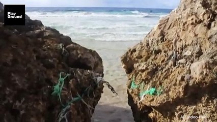 Los únicos habitantes de la isla Henderson son 17 toneladas de plástico