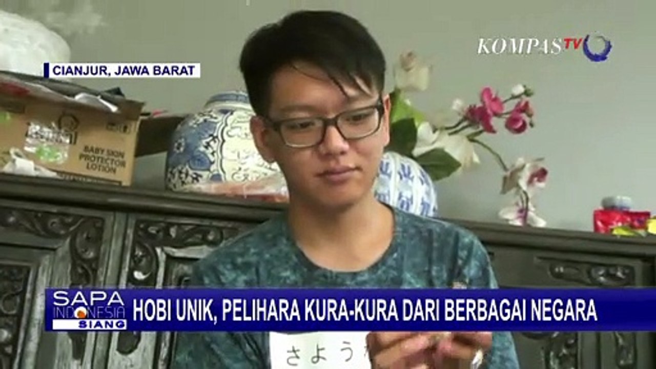 Unik! Hobi Pelihara Kura-kura dari Berbagai Negara