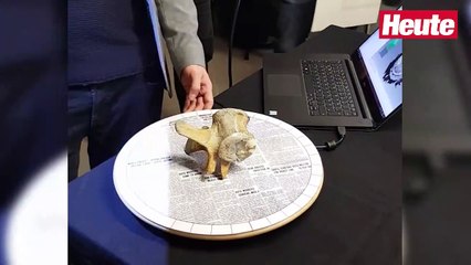 Saurier-Puzzle mit 3D-Scans im NHM Wien