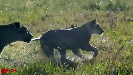 영천출장서비스 영천출장서비스O1Og2143g9131｛카톡UOM7｝ 영천출장마사지샵 영천출장안마on영천출장안마cos여3♪⇔∃마사지황형♥◪≪