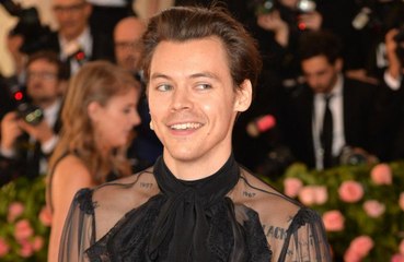Harry Styles fala sobre assalto violento que sofreu