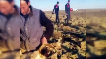 Bu görüntülere yürek dayanmaz! Hangi insan evladı bunu yapar?