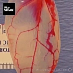 Las espinacas pueden echar raíces en el corazón.