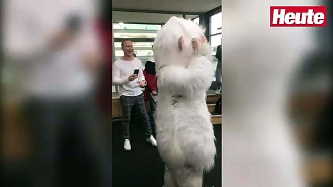 'Masked Singer Austria': Erster Blick auf die Masken